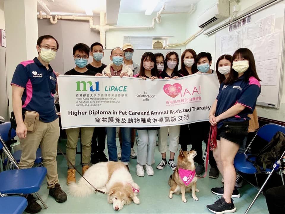 FHDPETC Higher Diploma in Pet Care and Animal Assisted Therapy - LiPACE -  Hong Kong Metropolitan University