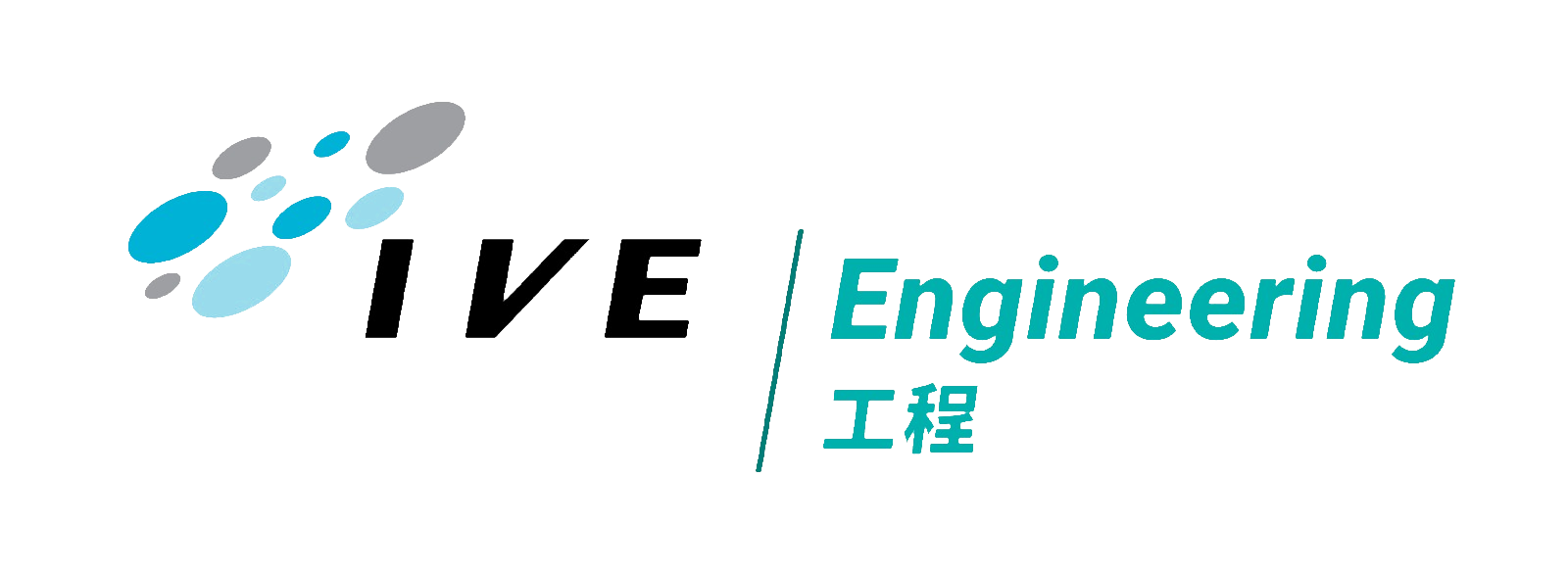 Hong Kong Institute of Vocational Education (IVE)