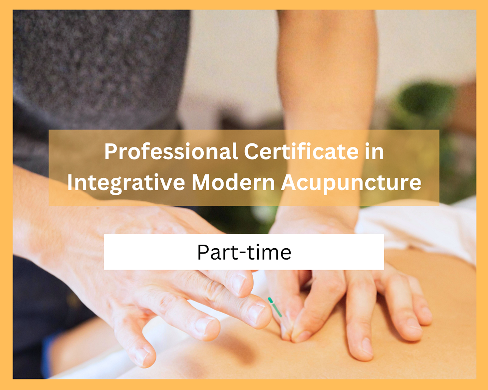 Icon_Bachelor Physio