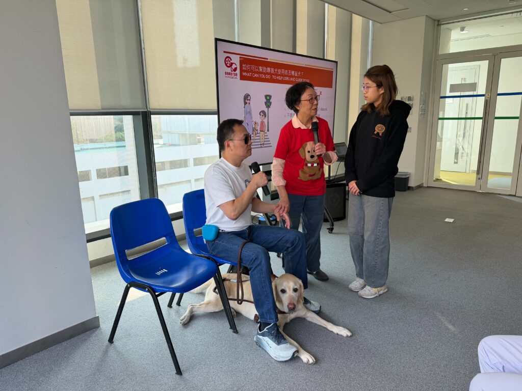 compressedImage (29)