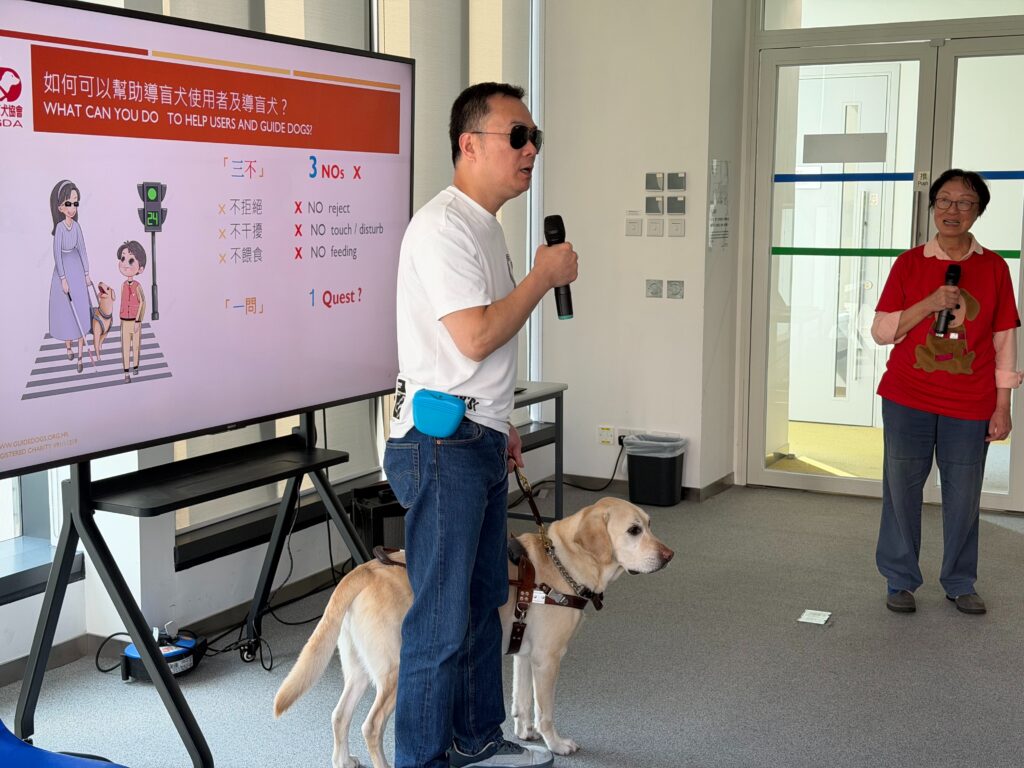 compressedImage (30)