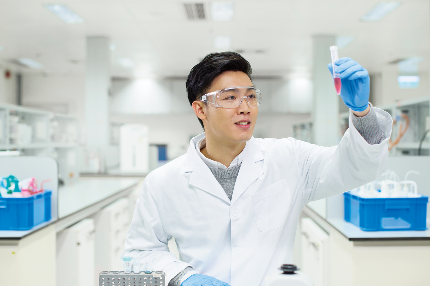 School of Science and Technology